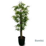 Bambu 1 80mts