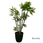 Bambu 1 40mts